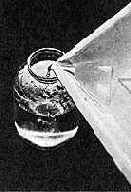 к рассказу Б. Ньюхола можно