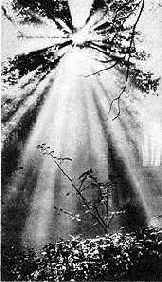 о котором идет речь, предопределено