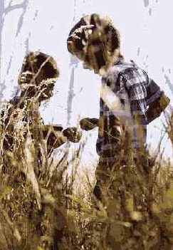 Подсмотренные сцены