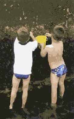 Подсмотренные сцены