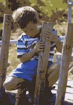 Подсмотренные сцены