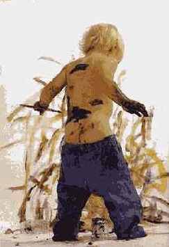 Подсмотренные сцены