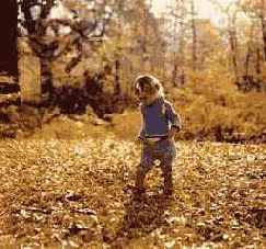 Подсмотренные сцены