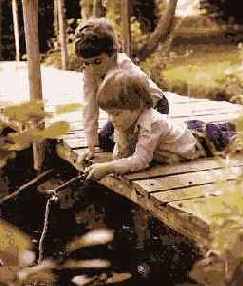 Подсмотренные сцены