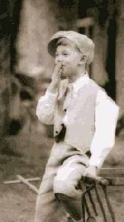 Интересы и занятия