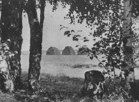 Линейное построение снимка