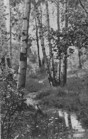 Линейное построение снимка (часть вторая)