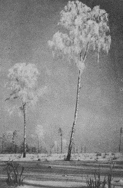 Линейное построение снимка (часть вторая)