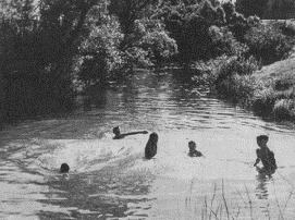 Световое и цветовое решение снимка