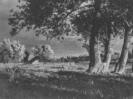 Световое и цветовое решение снимка