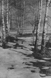 Световое и цветовое решение снимка