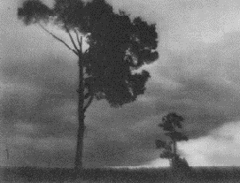 Световое и цветовое решение снимка