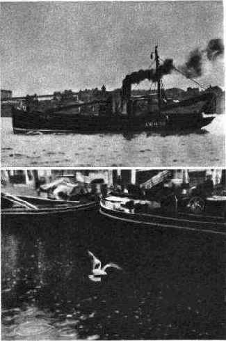 ��� �����������