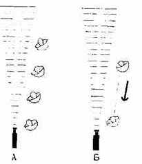 ��������� ���������� ������