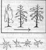 �� ������ ����� �������� ���� 