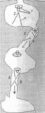 �� ������ ����� �������� ���� 