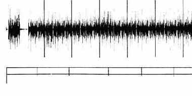 �� ������ ����� �������� ���� 