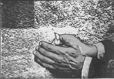 �� ������ ����� �������� ���� 