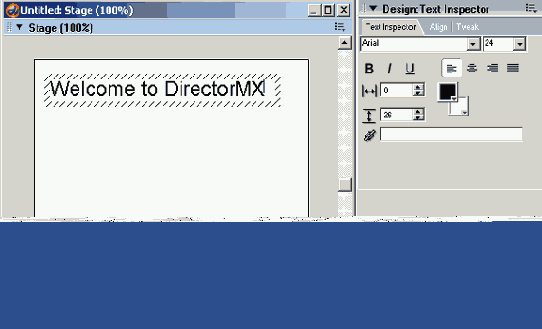 ������������ ���������� 2.1: ������������� �������� ������������ Director'a