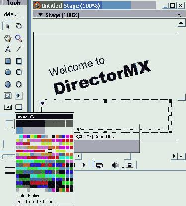 ������������ ���������� 2.1: ������������� �������� ������������ Director'a