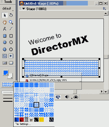 ������������ ���������� 2.1: ������������� �������� ������������ Director'a