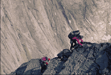 ����������