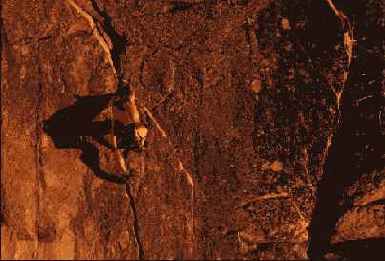 ���� ������ ����� �������