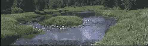 �������� ��������� �����������