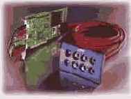 �� ���� ������ ������ �������� 