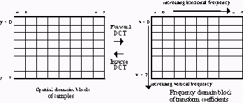 ��� ����������� ������ �����?