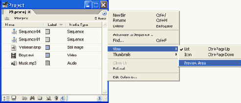 Область предварительного просмотра
