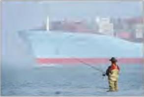 Сеченко М. - Норвегия -лакомый кусок