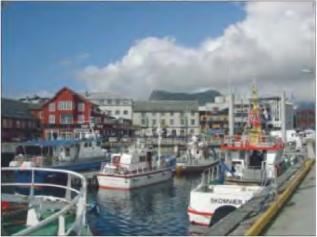 ��������� �. - �������� ������� �����