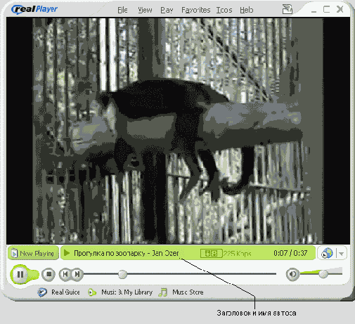 Название фильма и имя автора будут