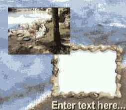 ����������