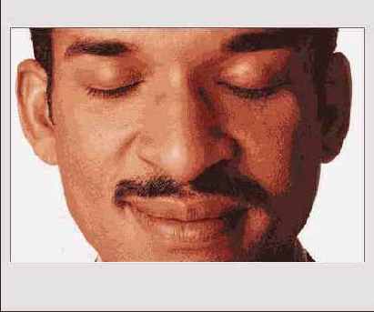 � ImageReady. ��� ������ ��������� 