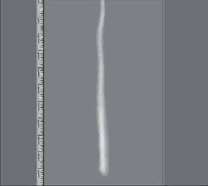 ������ ������� �������� ����� �� 