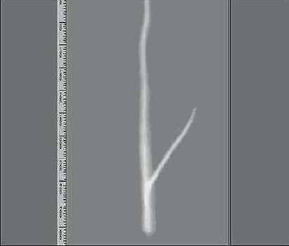 ��� ���� ����� ��������� ����� 