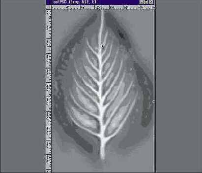 � ������ ��������� ��������� ����� 