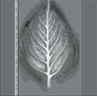 ������ ��� ��� ����� ��� 