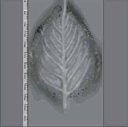 ��� ���������� ����� ������ ������� 