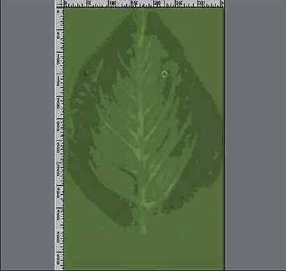 ������ �� ��������� �����, �������� 