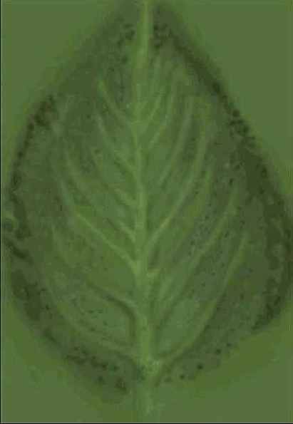 � ������ RGB 144, 140, 