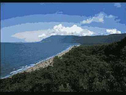 ������� ������������� ���� ���������� ����� 