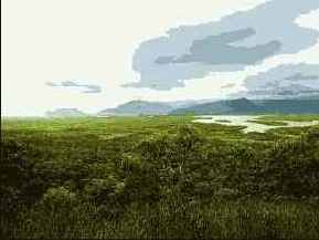 �������� ���������� ����� �� ���������� 