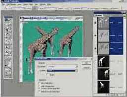 ���� �� ������ ������ �������� 