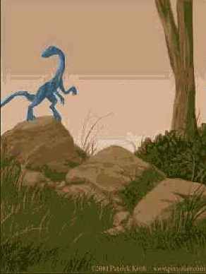 � ��������� ������ �� ����������� 