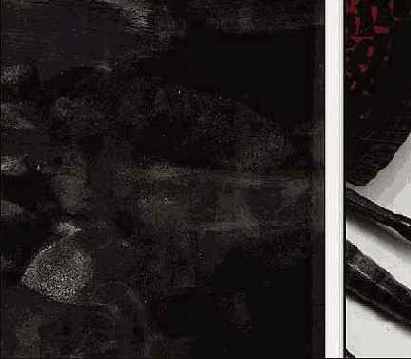 Photoshop � Illustrator ������� � �������������� �����