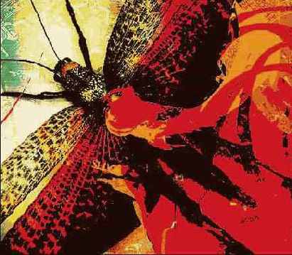 ����� ������� �������� �������� �������������� 