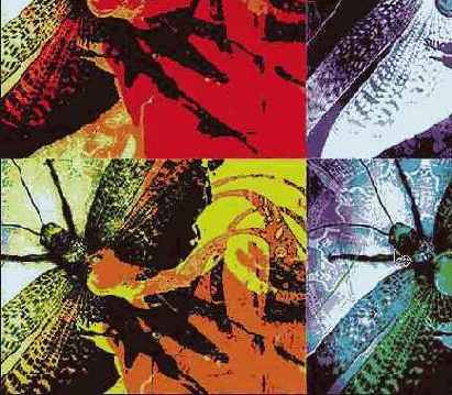 ����� ������� �������� �������� �������������� 